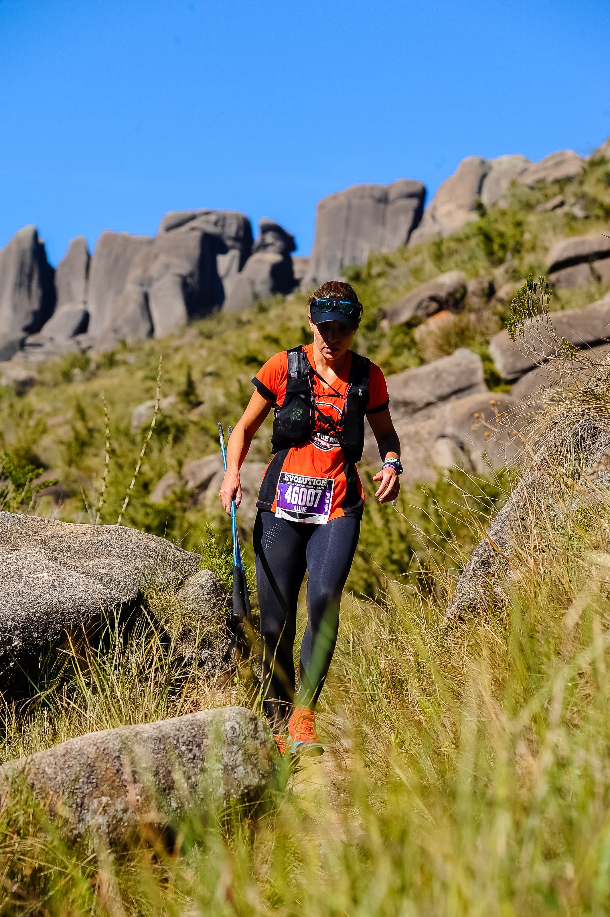 Evolution Itatiaia